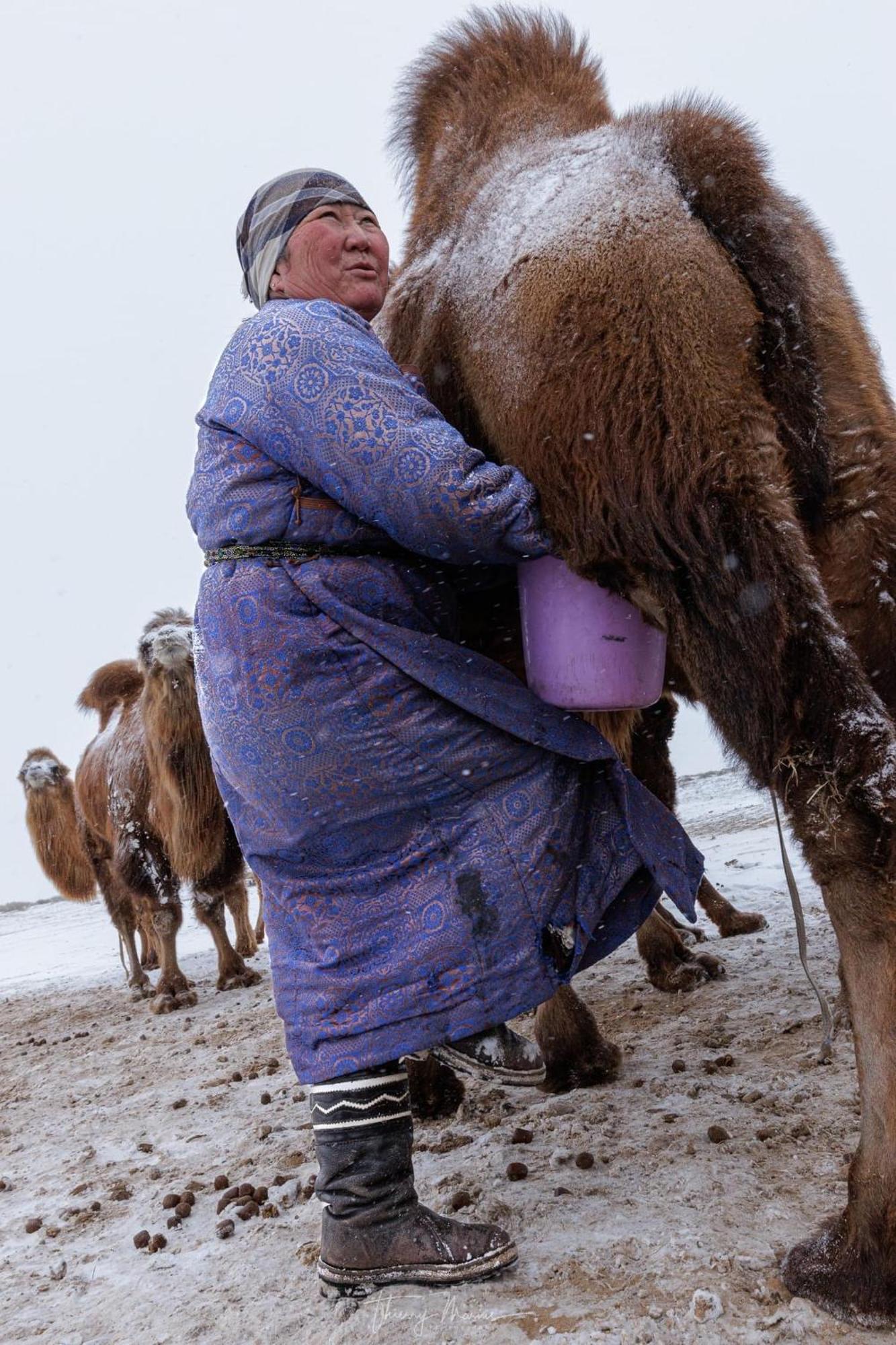 Gobi-Girl Hotel Oelan-bator Buitenkant foto