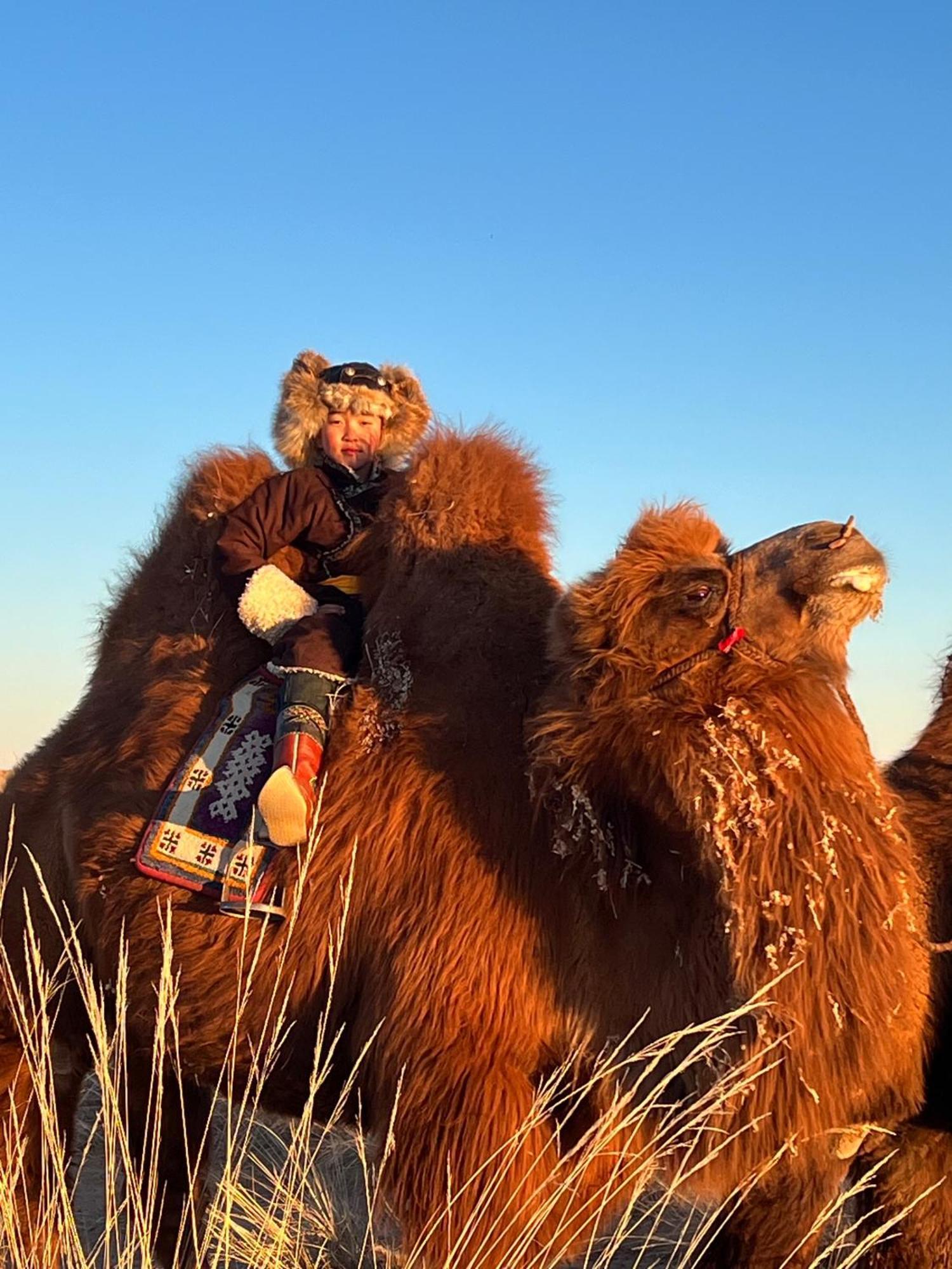 Gobi-Girl Hotel Oelan-bator Buitenkant foto